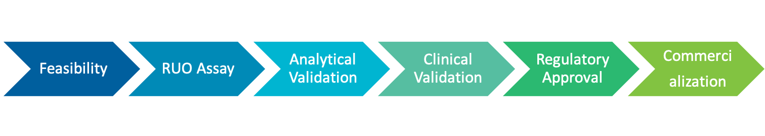 Diagnostic Development Process