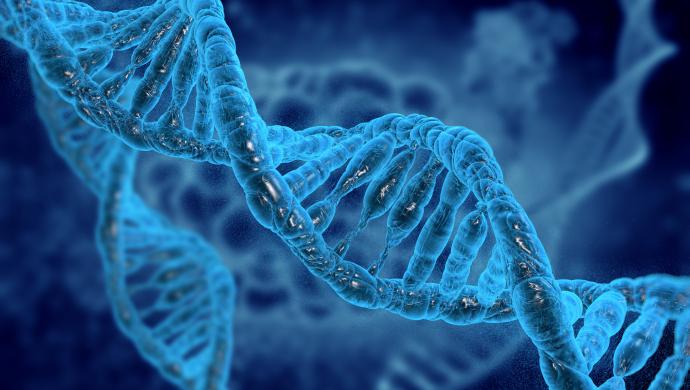 DNA Image of Exosome Depletion 